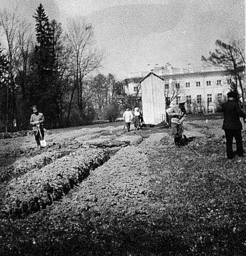 33. Огород  - копия.jpg
